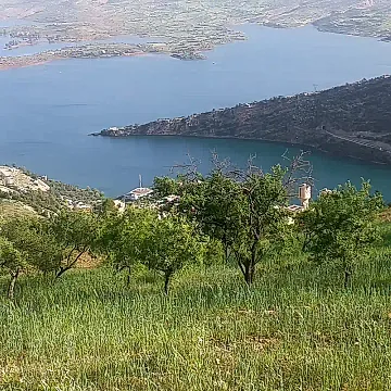 Badr Otky