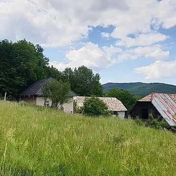 Anna Mária Szedely Valovi?ová