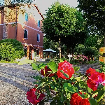 Farmhouse Venice