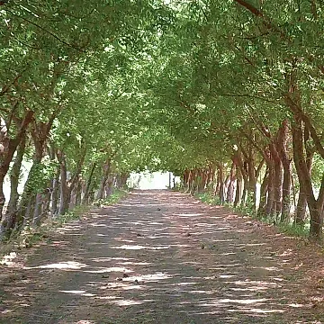 La Ruta Ecologica