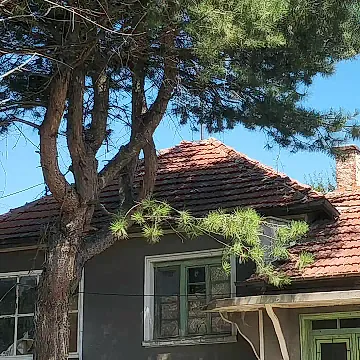 Dimitar Zakonov