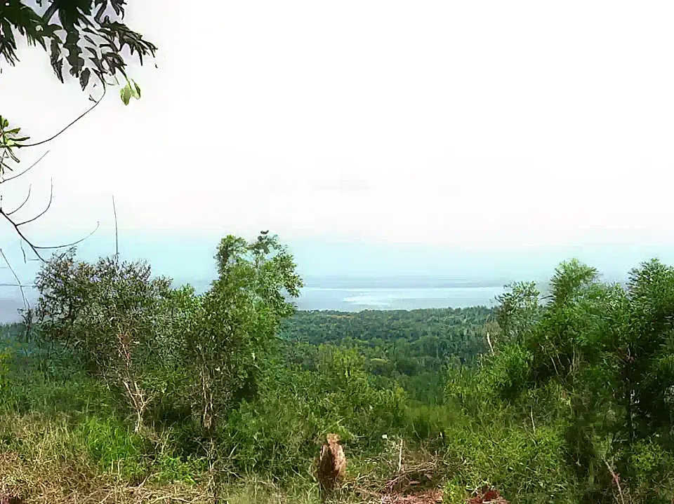 Lot/Land for Sale in Bali, Indonesia