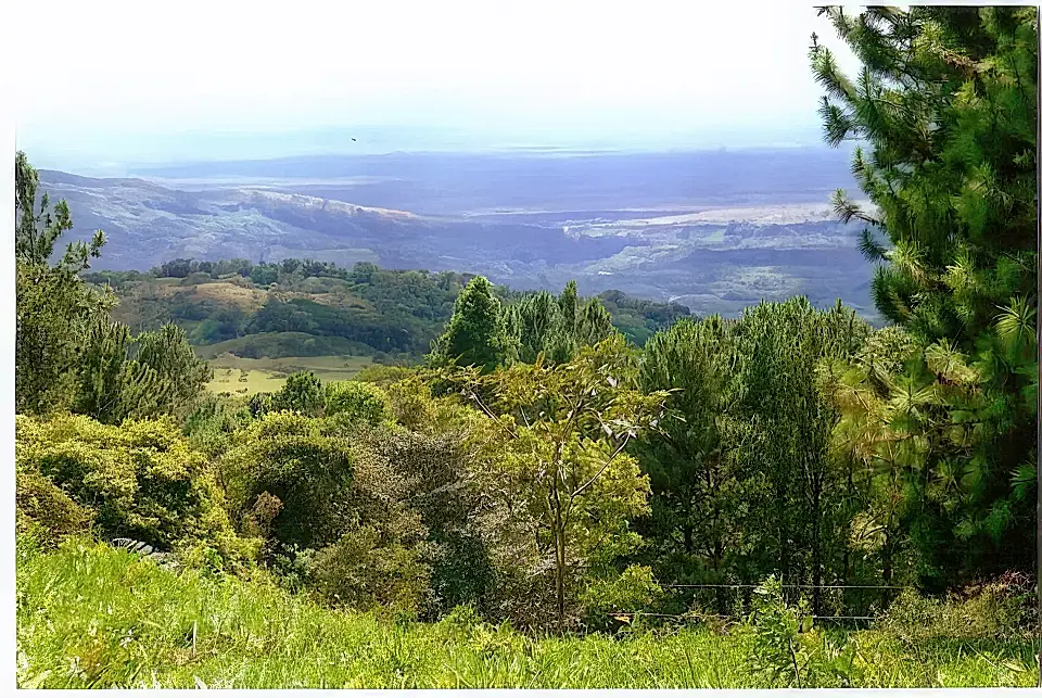 Lot/Land for Sale in Boquete, Chiriqui, Panama