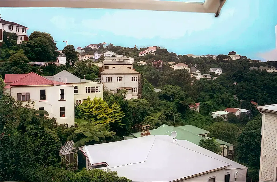 1 Bedroom Apartment for Sale in New Zealand