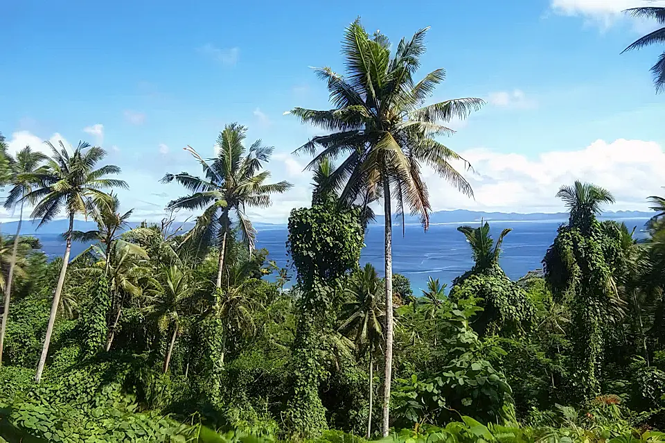 Fiji Affordable Farms and Land for Sale List and Find the Best Low