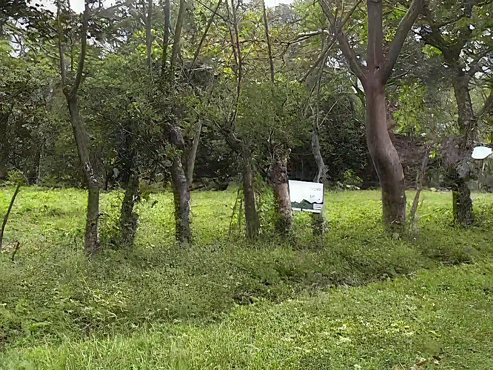 Lot/Land for Sale in Boquete, Panama