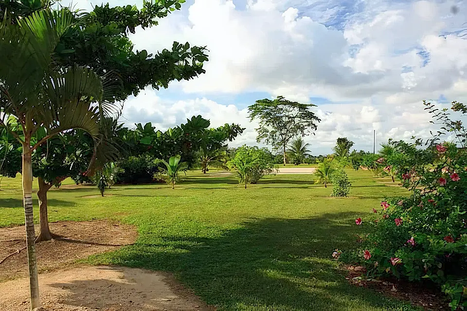 Lots/Land for Sale in Belize Viviun