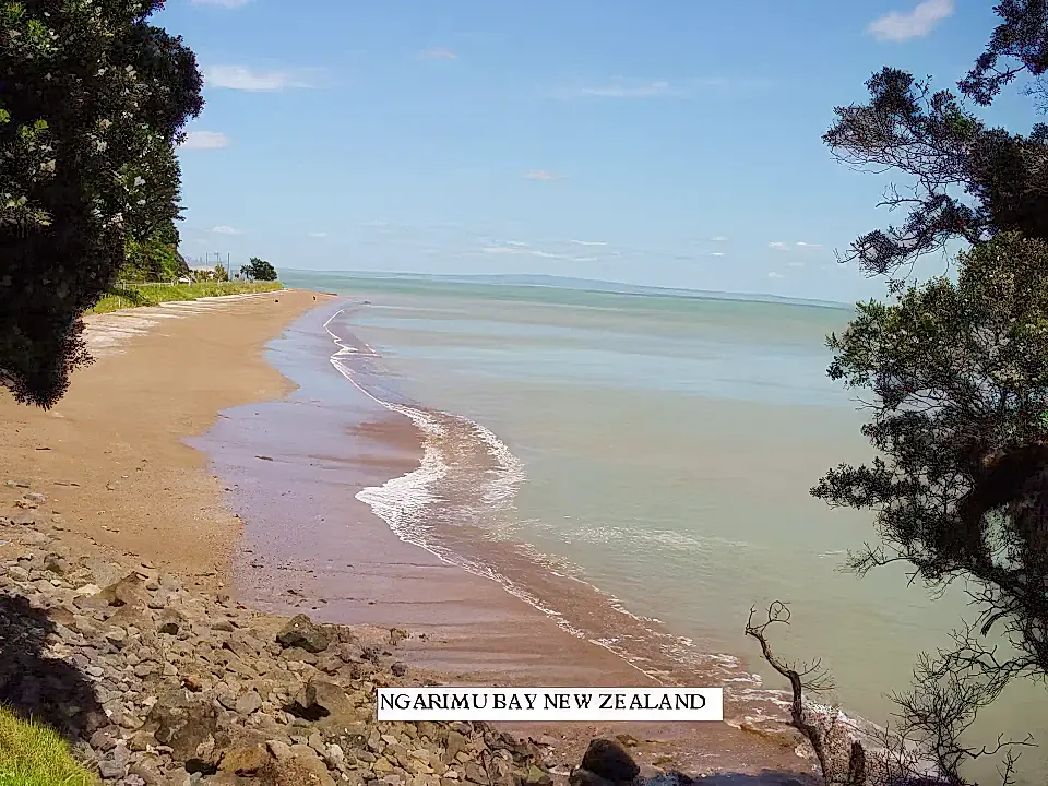 Mansion for Sale in Coromandel, New Zealand