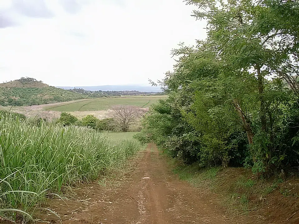 Lot/Land for Sale in Grecia, Costa Rica