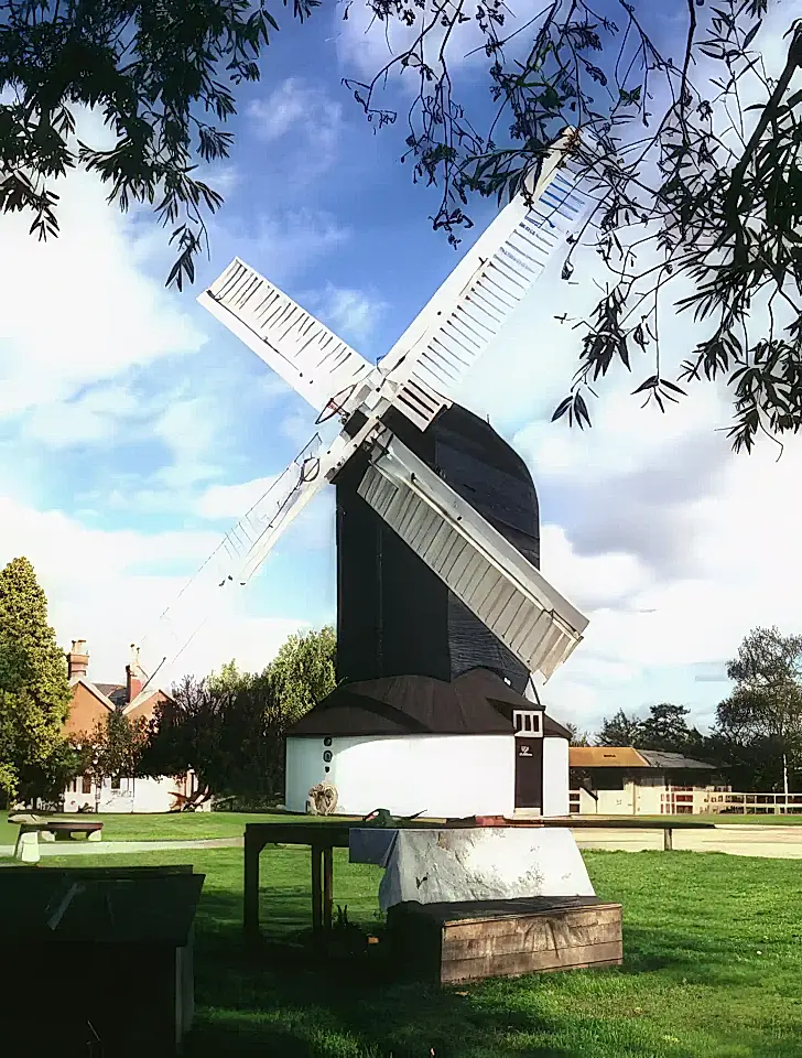 Windmill, House and Bungalow for Sale in Surrey, UK