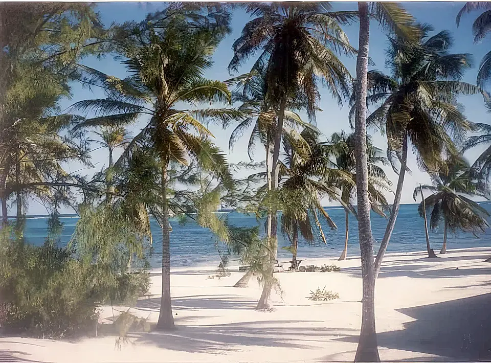 Beach Lots for Sale in Belize Ambergris Caye, Belize