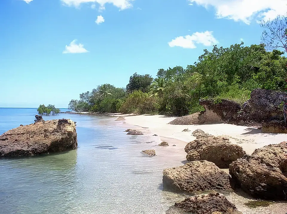 Fiji Islands for Sale List and Find the Best Island Properties in Fiji