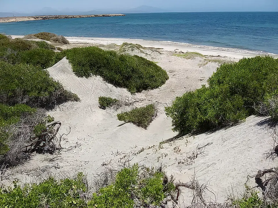 Baja California Affordable Mountain View Lots and Land for Sale List