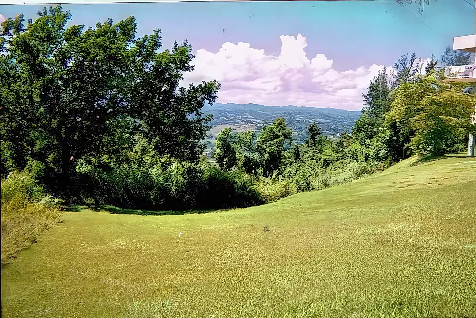 Puerto Rico Real Estate Properties for Sale in Puerto Rico Viviun