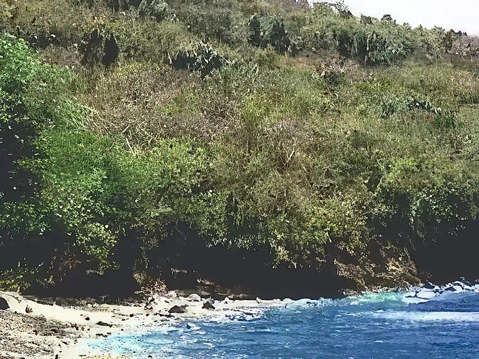 St. Lucia Real Estate List and Find the Best Properties in St. Lucia