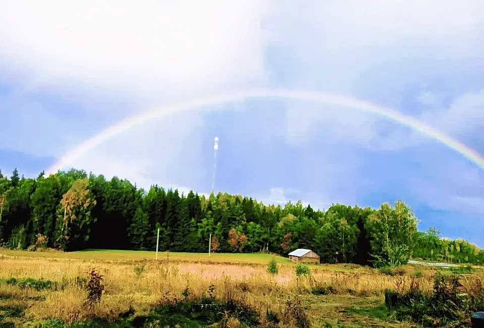 Estate for Sale in Läyliäinen, Loppi, Finland