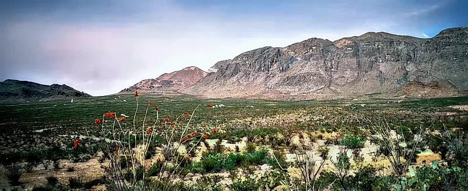 Farm/Ranch for Sale in Texas, USA