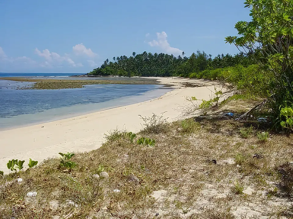 Philippines Islands for Sale List and Find the Best Island Properties in the Philippines