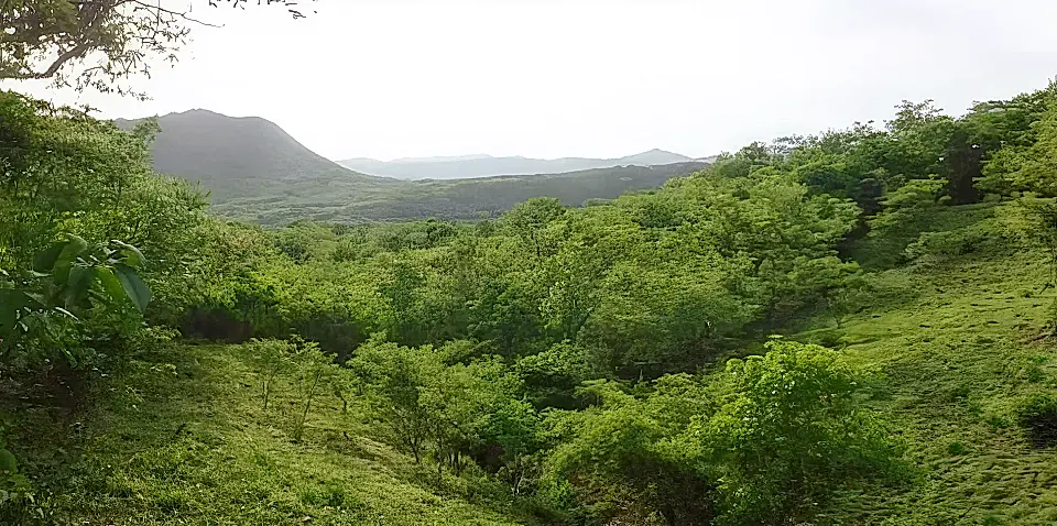 3/4 Acre Ocean View Lot for Sale in San Juan Del Sur, Rivas, Nicaragua