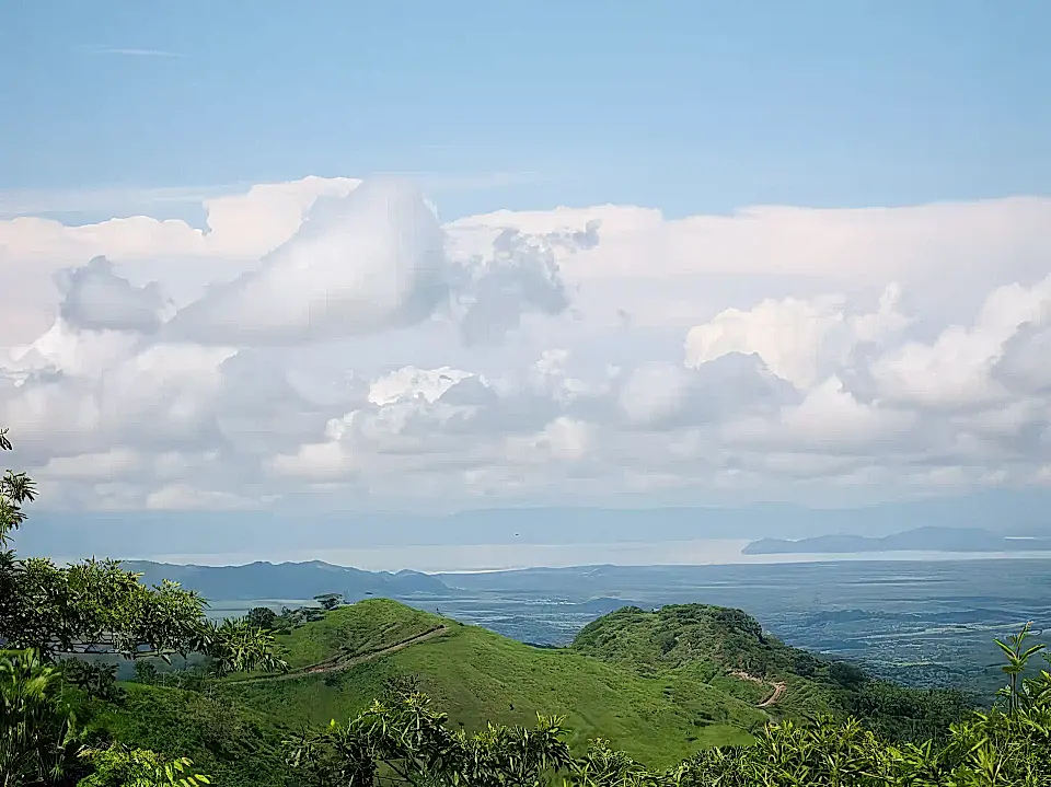 Teak and Cattle Farm for Sale in Las Juntas De Abangares, Guanacaste, Costa Rica