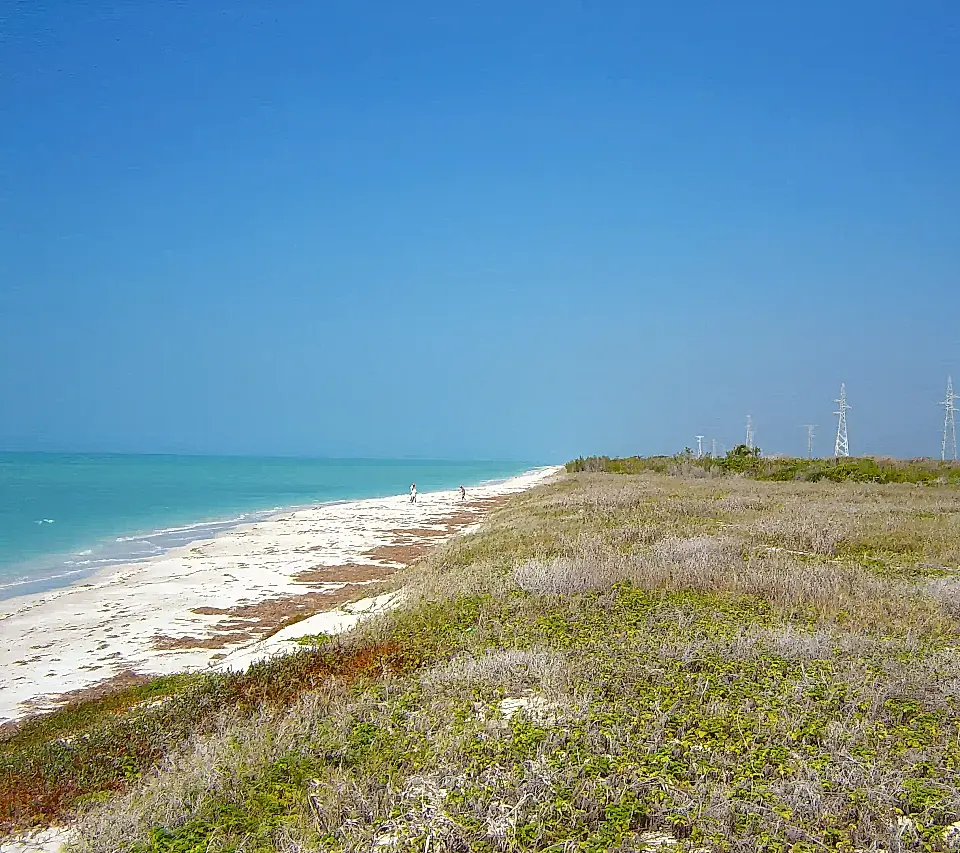 Mexico Caribbean Affordable Lots and Land for Sale List and Find the