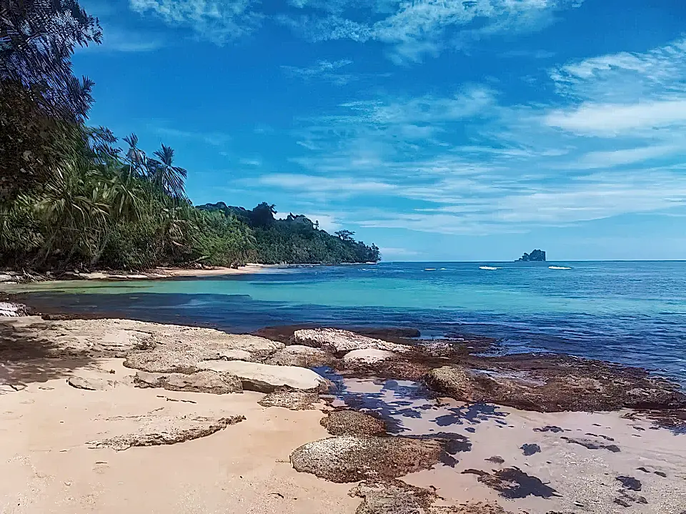 Bocas Real Estate Properties for Sale in Bocas Viviun