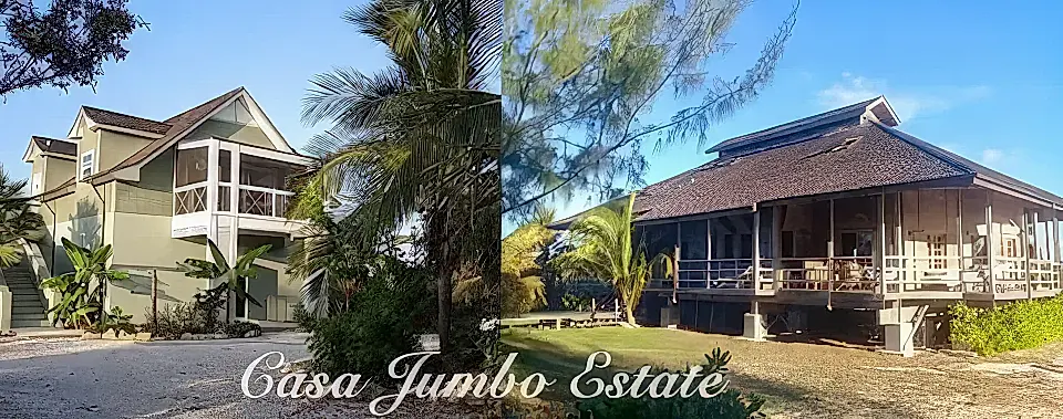 Luxury Beachront Estate for Sale and Rent in Wemyss, Long Island, Bahamas