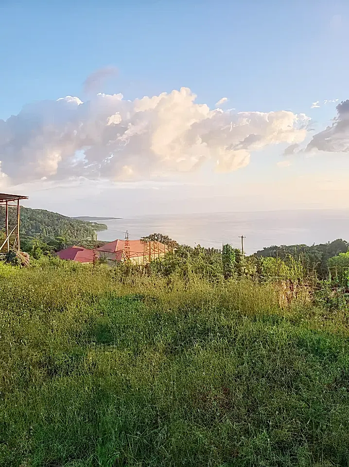 Lots/Land for Sale in Jamaica Viviun