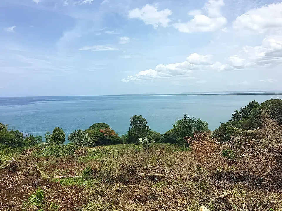 Lots/Land for Sale in Jamaica Viviun