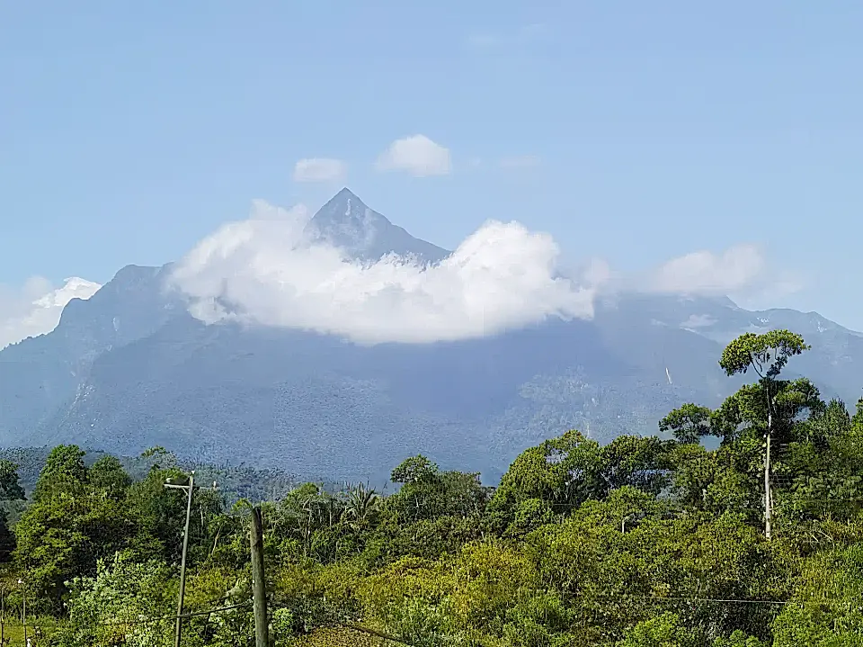 Build Ready Lots for Sale in El Pino, Atlantida, Honduras
