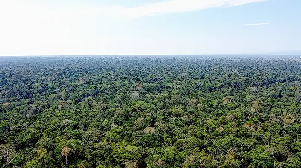 Amazon Rainforest Land for Sale in Manu, Cusco-Madre De Dios, Peru