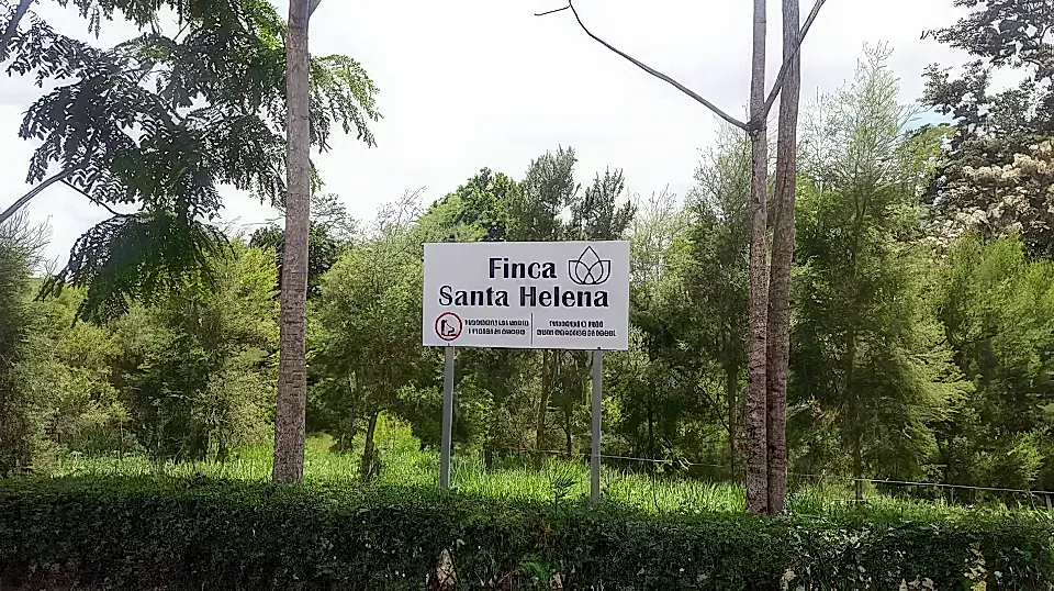 Tea Tree Oil Producing Farm for Sale in San Carlos, Alajuela, Costa Rica