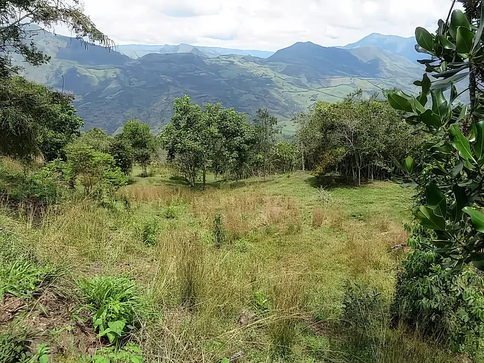 Colombia Real Estate Properties for Sale in Colombia Viviun