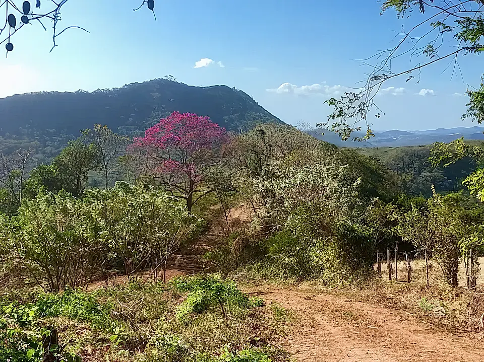 Lot for Sale in San Juan Del Sur, Departamento De Rivas, Nicaragua