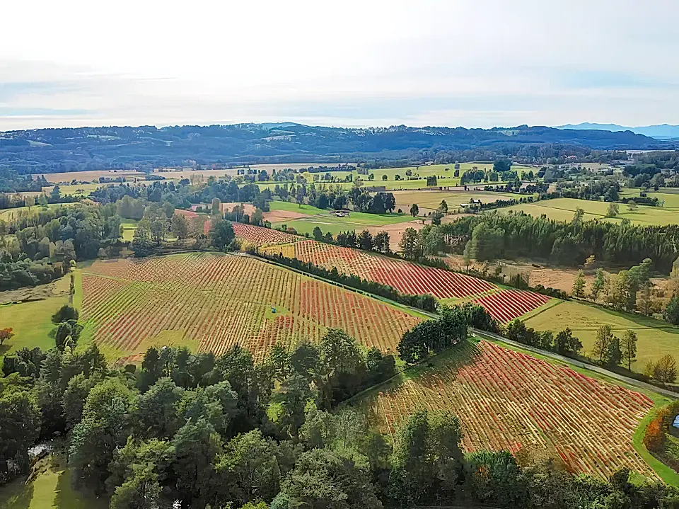 Chile Farms and Ranches for Sale List and Find the Best Farm and Ranch