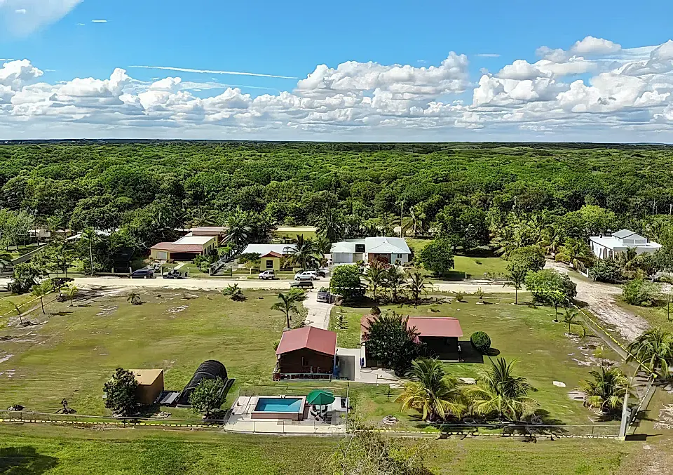 Belize Affordable Pool Houses for Sale List and Find the Best LowCost