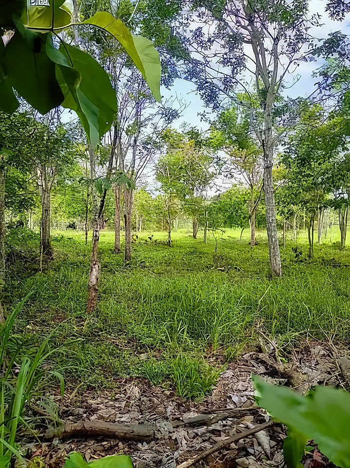 Lot for Sale in Pedasi, Los Santos, Panama