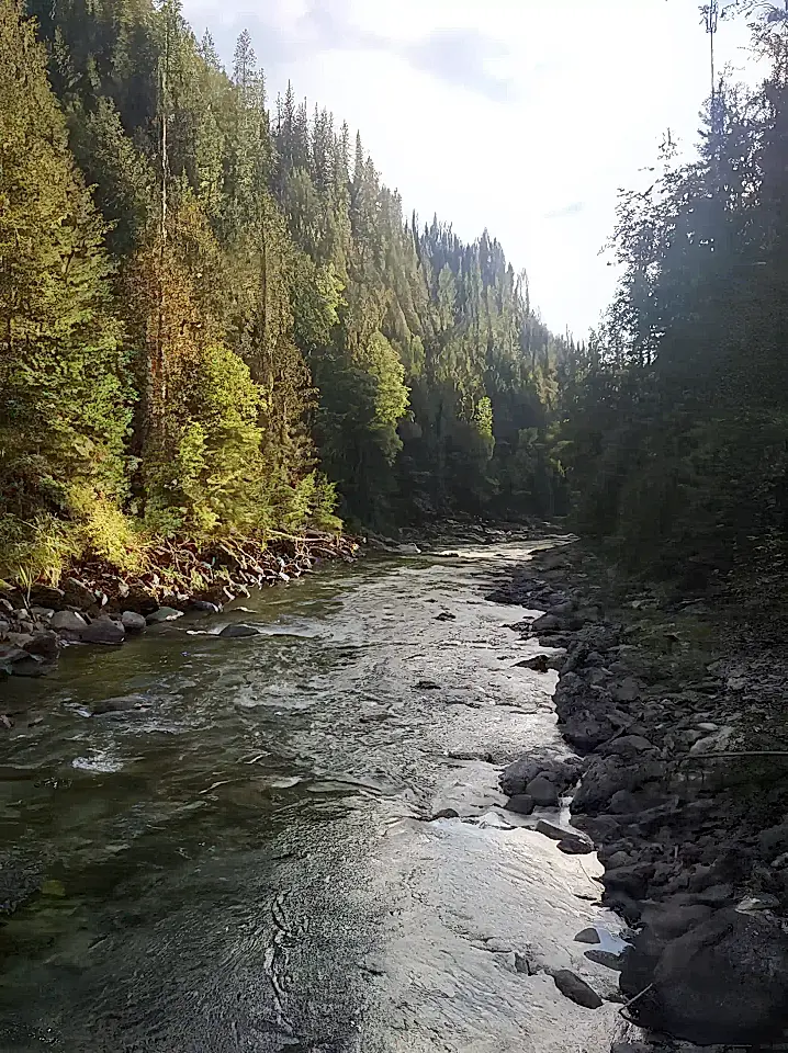 Recreational Acreage for Sale in Remac, British Columbia, Canada