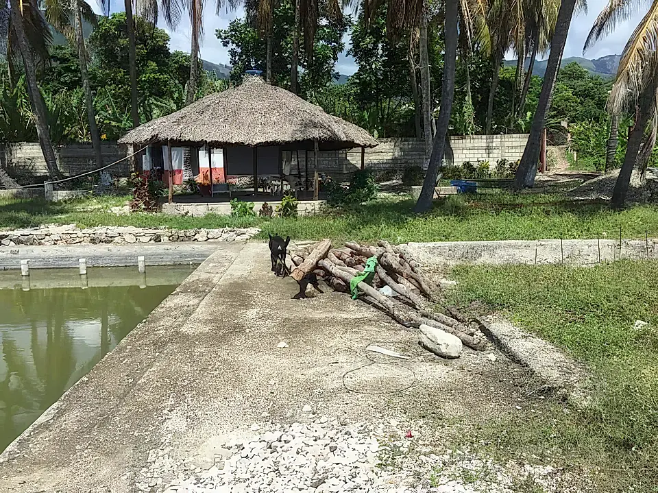 Haiti Real Estate Properties for Sale in Haiti Viviun