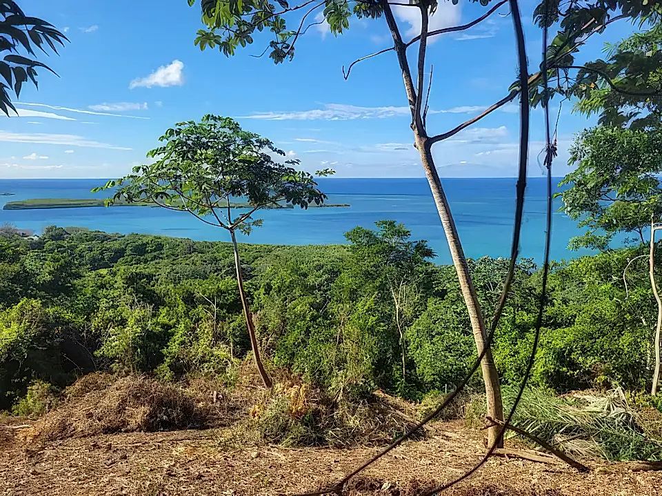 Honduras Real Estate Properties for Sale in Honduras Viviun