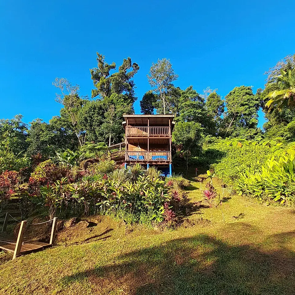 500 Error - Viviun, image size:960x960