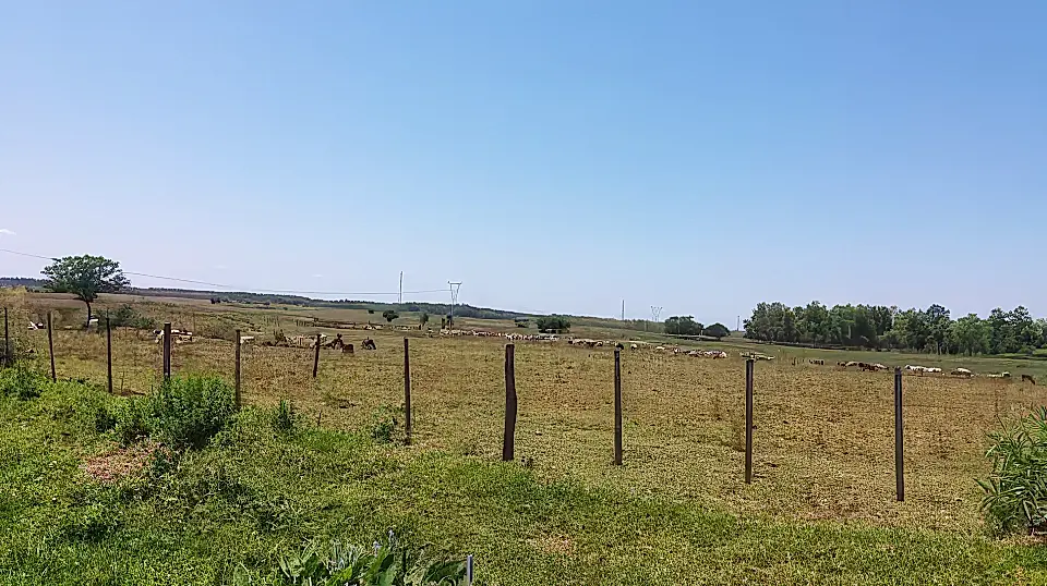 Farms/Ranches for Sale in South America Viviun