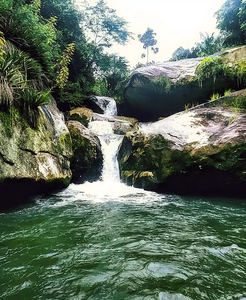 Farms/Ranches for Sale in Brazil Viviun