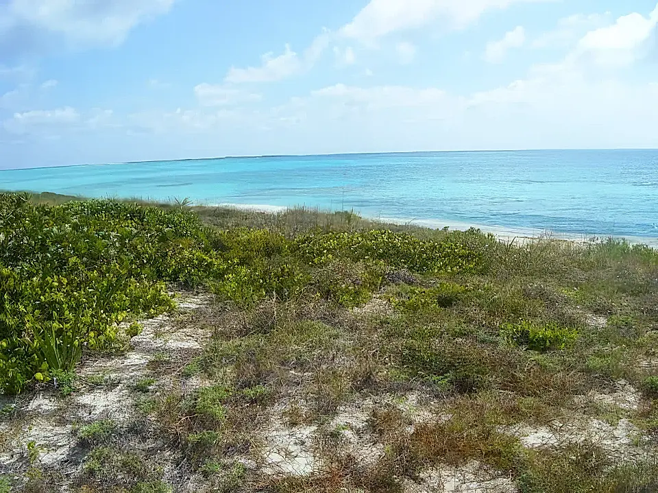 Lots/Land for Sale in The Caribbean Viviun