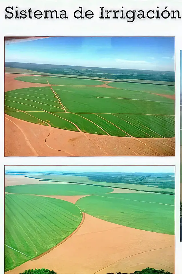 Paraguay Real Estate Properties for Sale in Paraguay Viviun