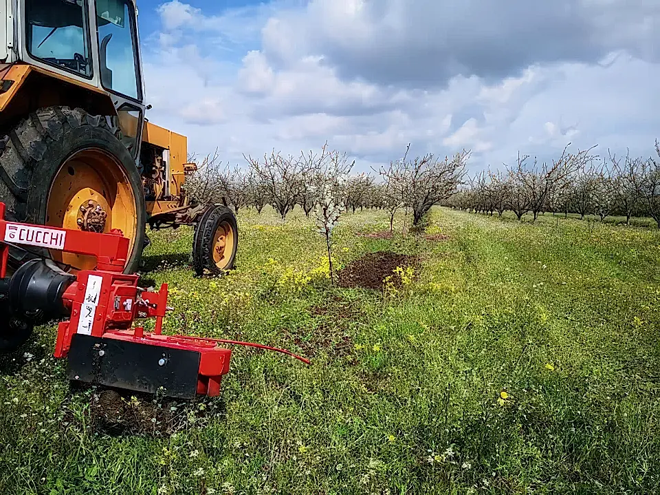 Fruit Production Business for Sale in Pomorie, Bulgaria