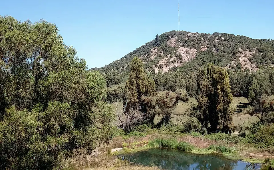 Chile Real Estate Properties for Sale in Chile Viviun