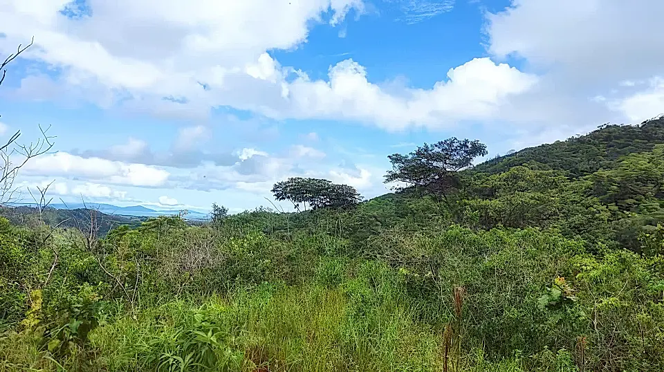 Land for Sale in Mariato, Veraguas, Panama