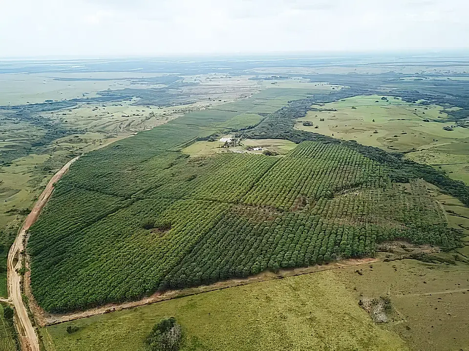 Farms/Ranches for Sale in South America Viviun