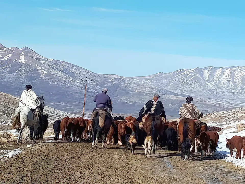 Farms/Ranches for Sale in Argentina Viviun
